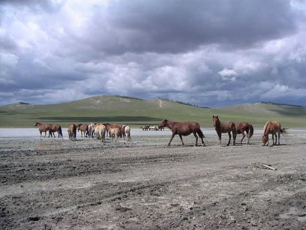 _mongolia
