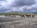 _mongolia